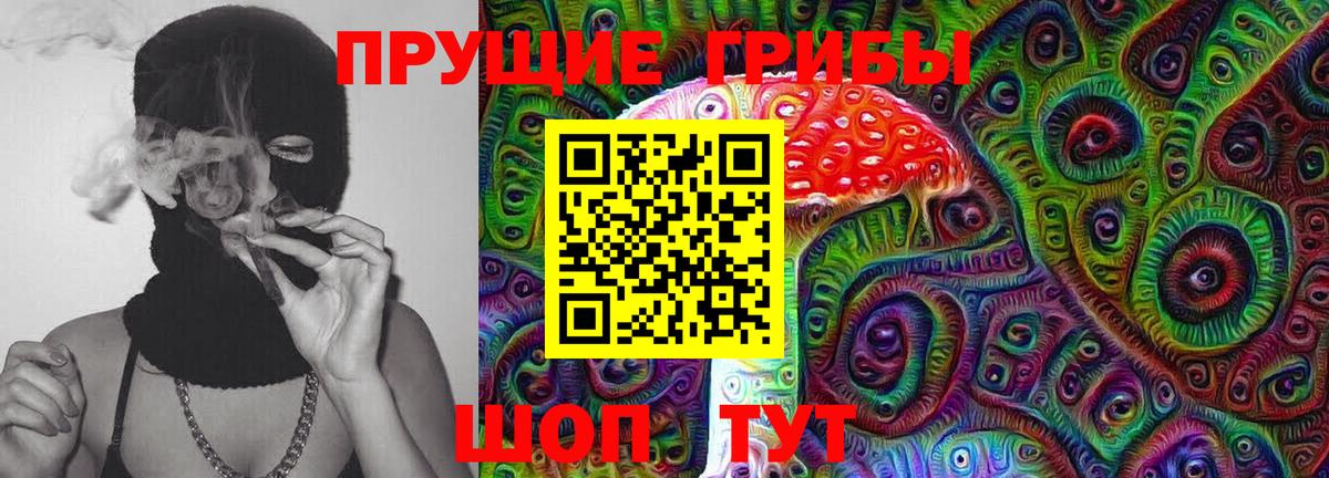 Верхний Уфалей  Галлюциногенные грибы Cubensis  Вход с VPN 